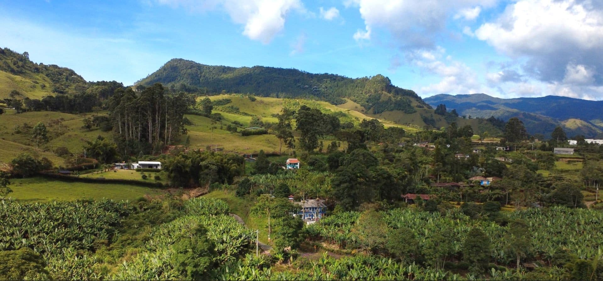 El hostel Vista Farallones con sus murales de aves y las montañas de Jardín