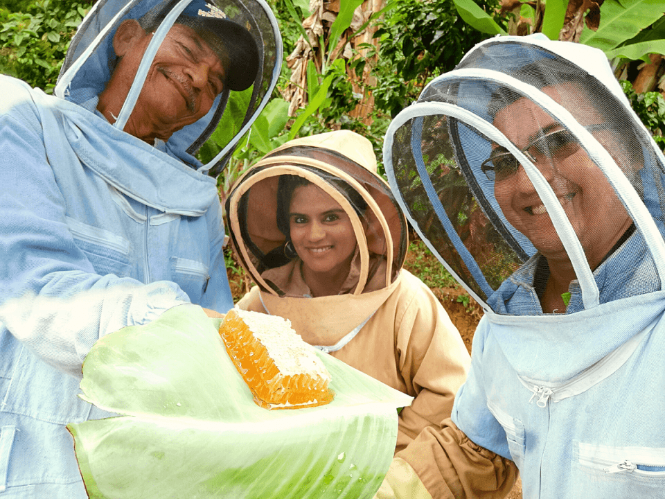 Tour de abejas y tour de café